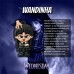 LFS072 - Wandinha Addams